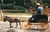 Uncle Heine replica cart